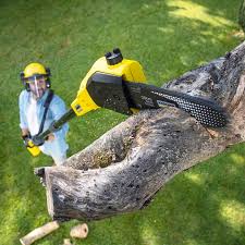 Best Weed Control  in Limesa, CA